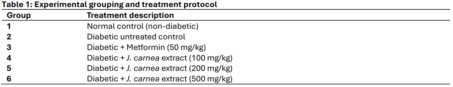 Experimental grouping and treatment protocol