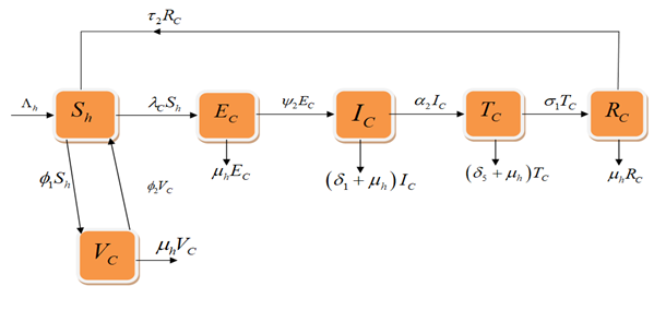 Chlamydia Model Flow Diagram
