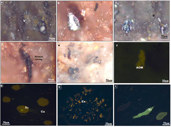 Photomicrographs of (a-b) vitrinites and inernites from Bima shales