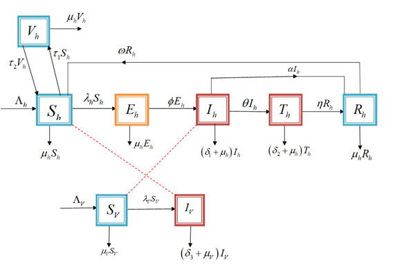 Malaria model flow Diagram