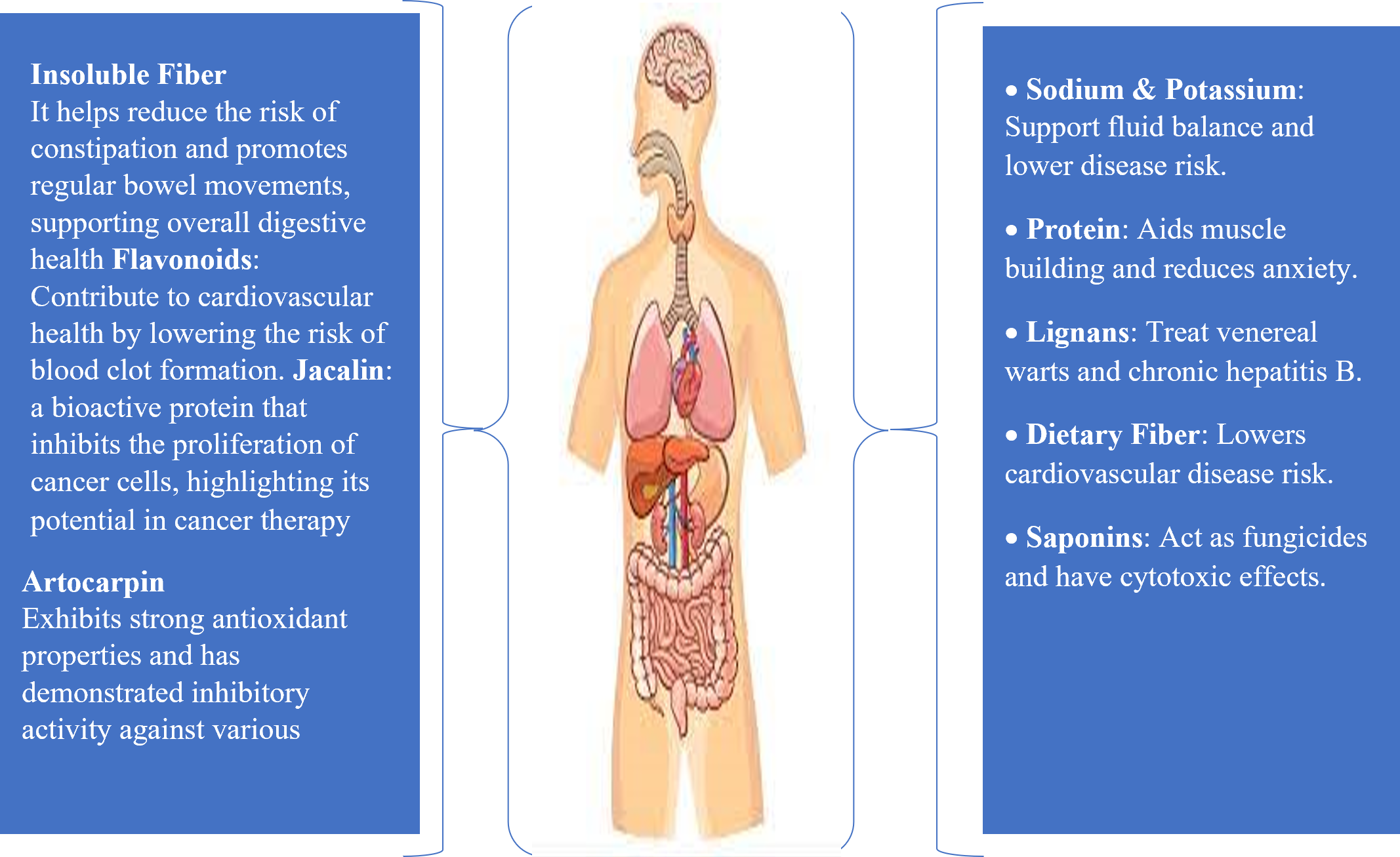 Health Benefits and Bioactive Components of Flaxseed