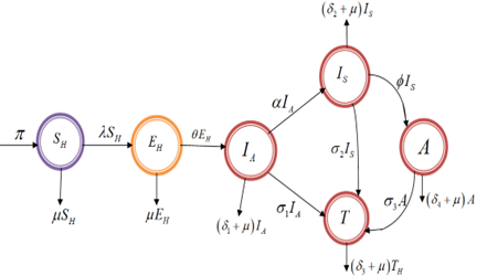 HIV/AIDS model flow Diagram