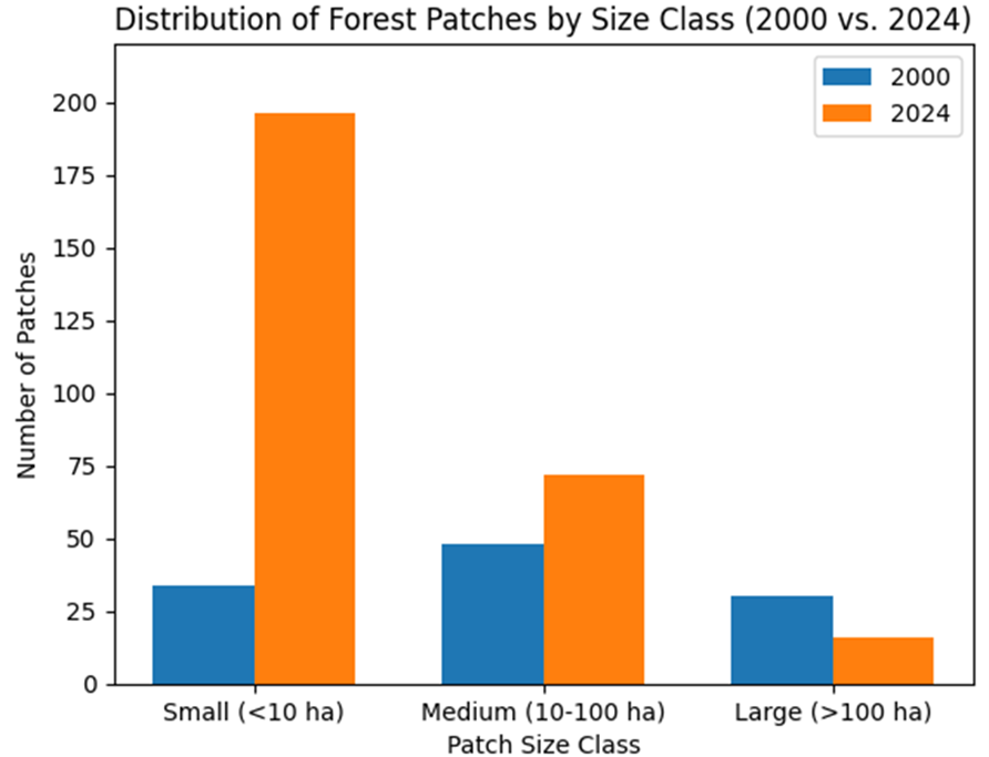 Distribution of Forest Patches by Size Class (2000 vs. 2024)
