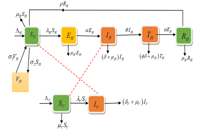 Dengue fever model flow Diagram