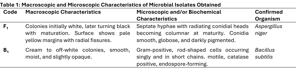 Macroscopic and Microscopic Characteristics of Microbial Isolates Obtained